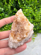 Gebrande Citrien cluster