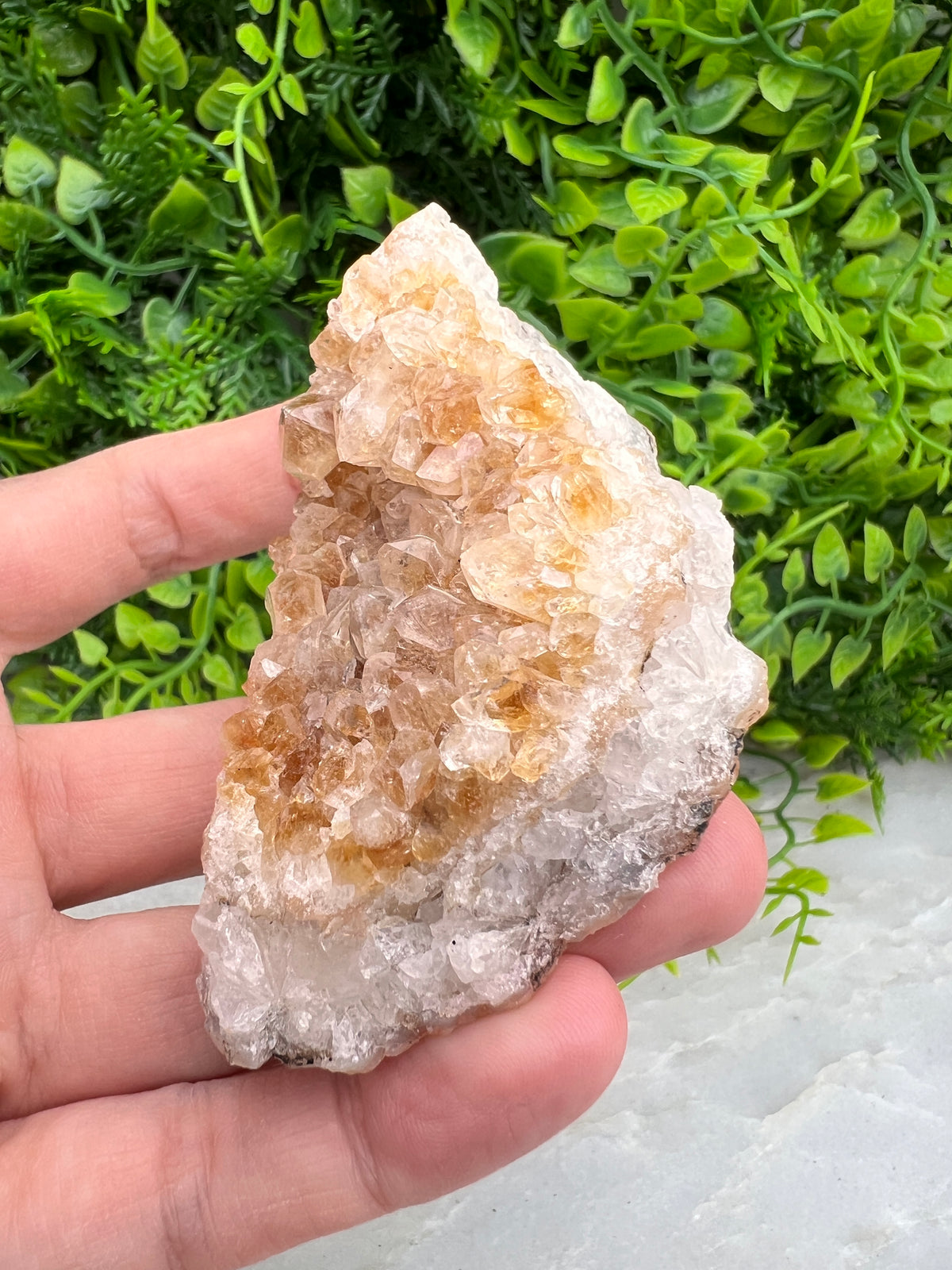 Gebrande Citrien cluster