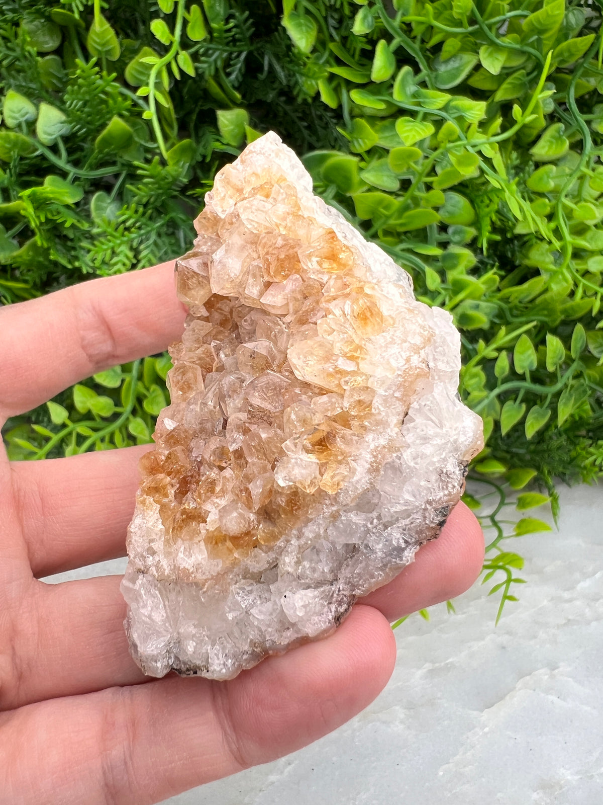 Gebrande Citrien cluster