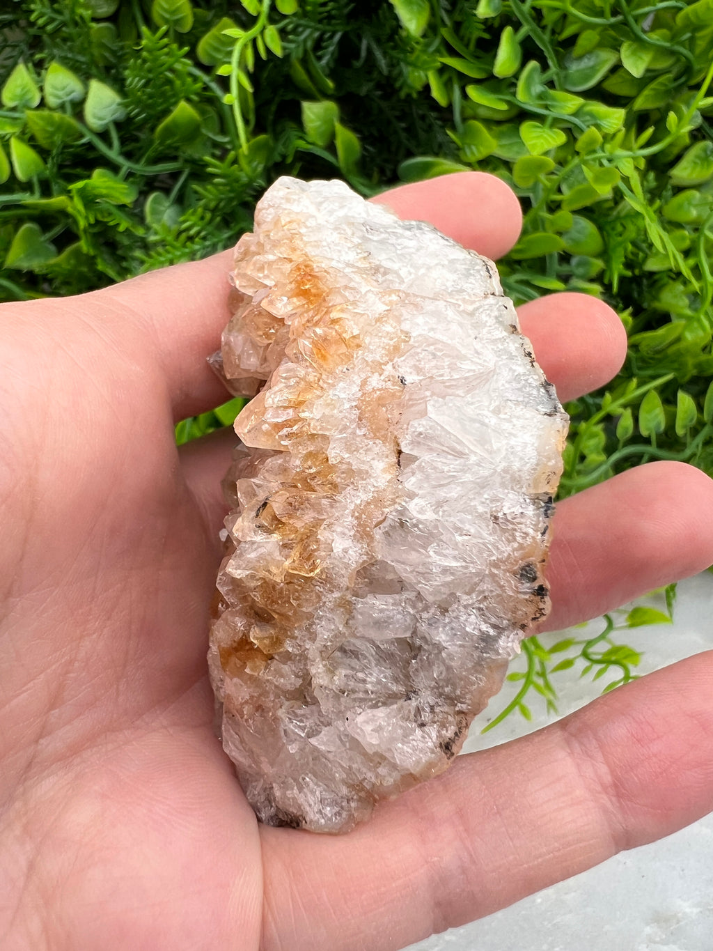Gebrande Citrien cluster
