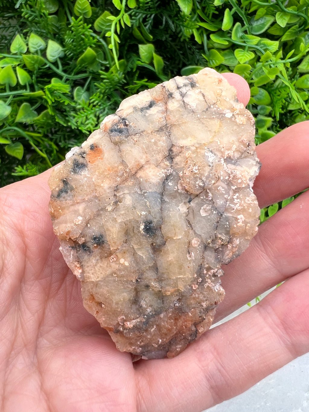 Gebrande Citrien cluster