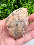 Gebrande Citrien cluster