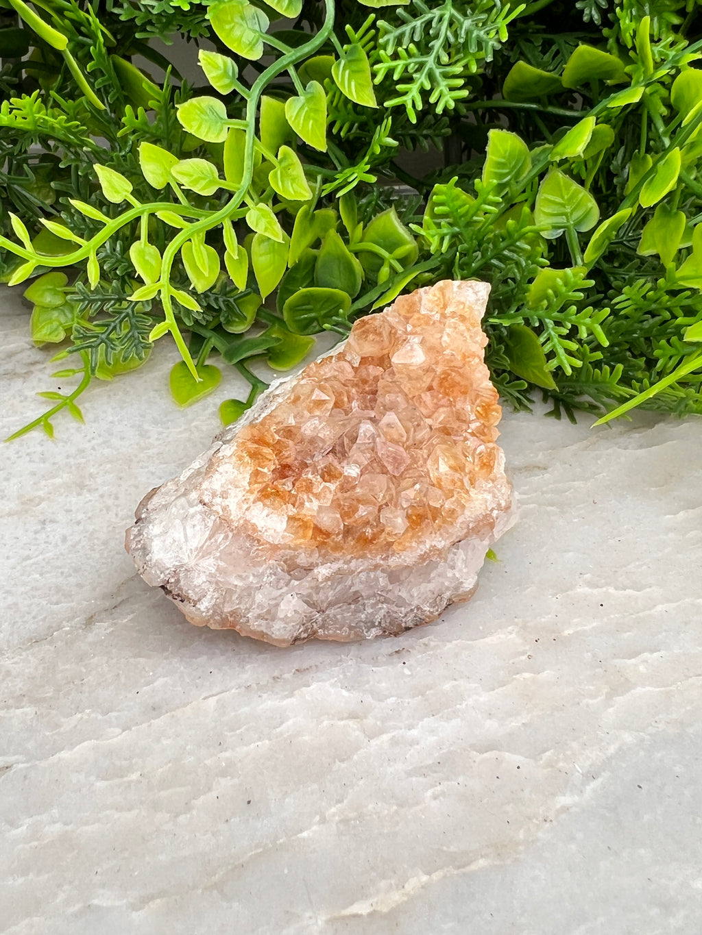 Gebrande Citrien cluster