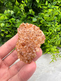 Gebrande Citrien cluster