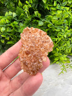 Gebrande Citrien cluster
