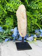 Halve Agaat op standaard (802 gr/17 cm)
