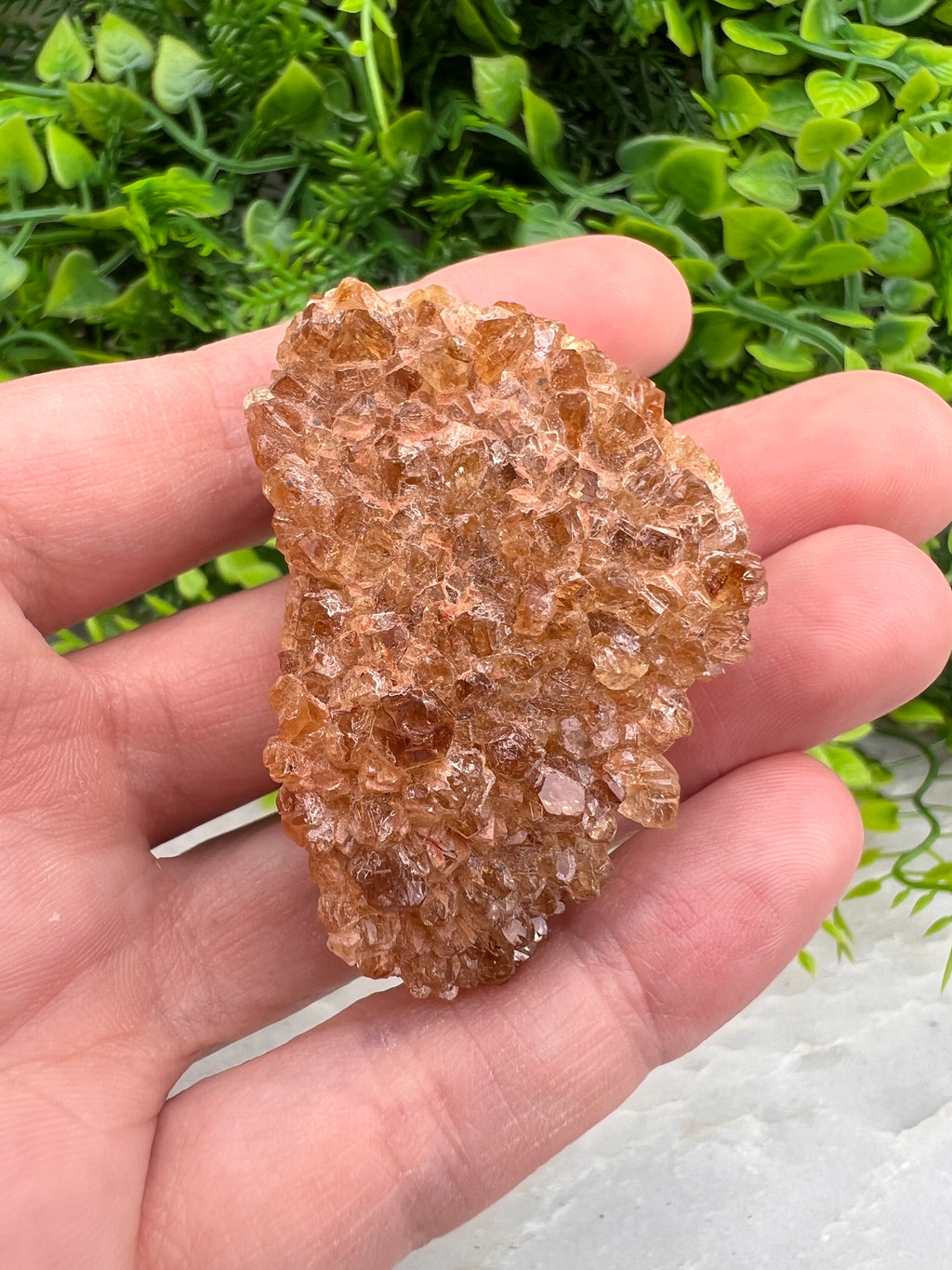 Gebrande Citrien cluster