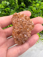 Gebrande Citrien cluster