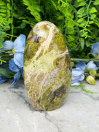 a large, natural stone with a unique, textured surface, surrounded by lush greenery and blue flowers.
