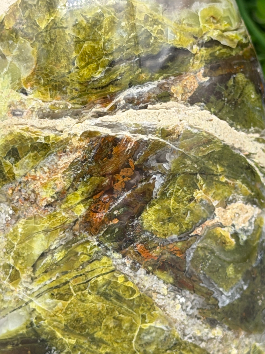 a close-up view of a textured, multicolored rock or stone surface with various shades of green, yellow, and brown.