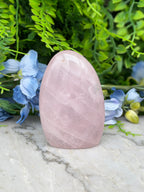 A pink amethyst crystal rests on a marble surface, surrounded by lush green foliage and delicate blue flowers.