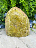 a large, oval-shaped rock with a greenish-brown hue, set against a backdrop of lush greenery and blue flowers.