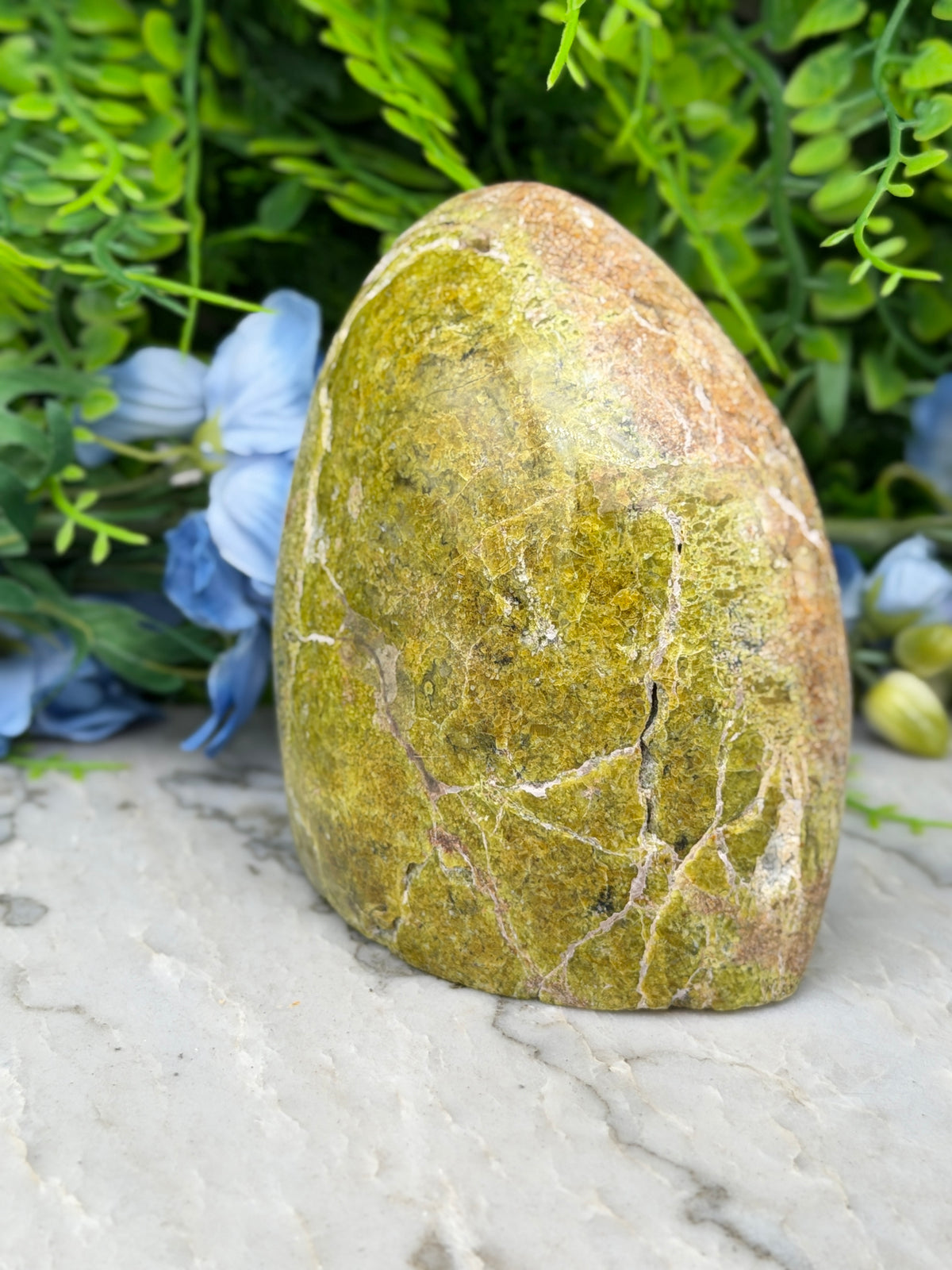 A large, oval-shaped rock with a greenish-brown hue sits on a white surface, surrounded by lush greenery and blue flowers.