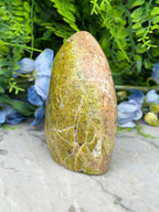 a large, jagged rock with a greenish-brown hue, set against a backdrop of lush, green foliage and delicate blue flowers.