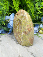 a large, oval-shaped rock with a greenish-brown hue, placed on a white surface. The rock is surrounded by a variety of green plants and blue flowers, creating a natural and serene setting.