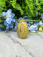 a yellowish-brown stone or rock, possibly a fossil, placed on a marble surface surrounded by blue flowers and greenery.