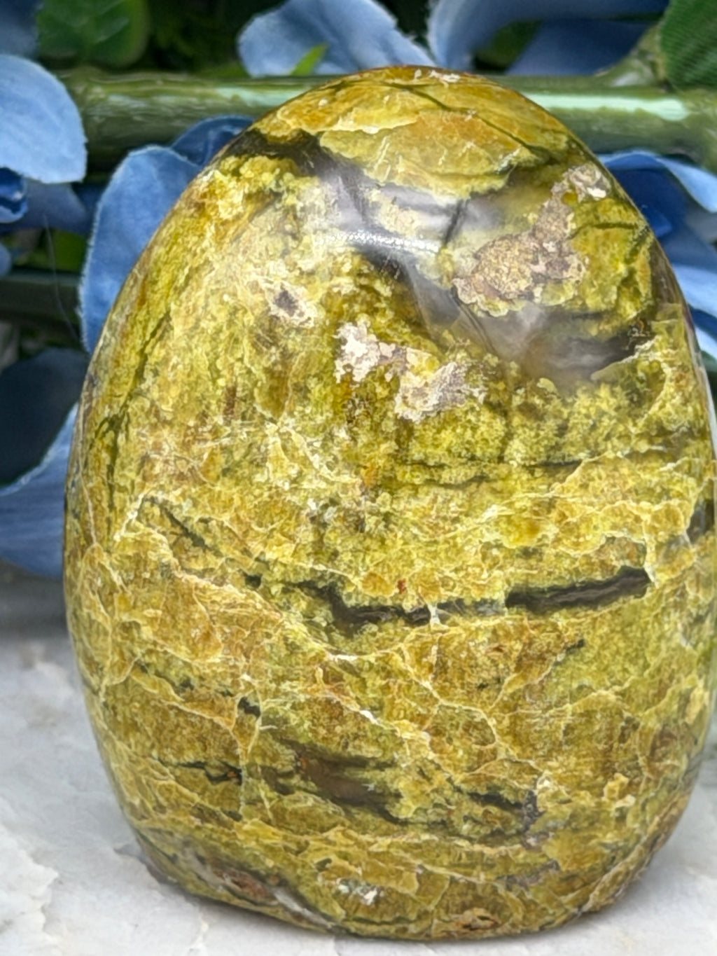 a close-up view of a yellow and green striped rock, possibly a jadeite or similar type of stone, set against a blurred background of blue flowers.