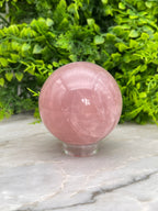Rozenkwarts bol