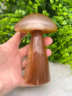 Agaat paddenstoel