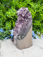 Amethist (Uruguay) cluster XL cut base (3432 gr/21 cm)