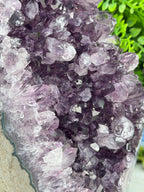 Amethist (Uruguay) cluster XL cut base (3432 gr/21 cm)