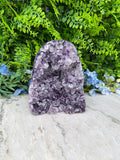 Amethist (Uruguay) cluster XL cut base (1786 gr/14 cm)