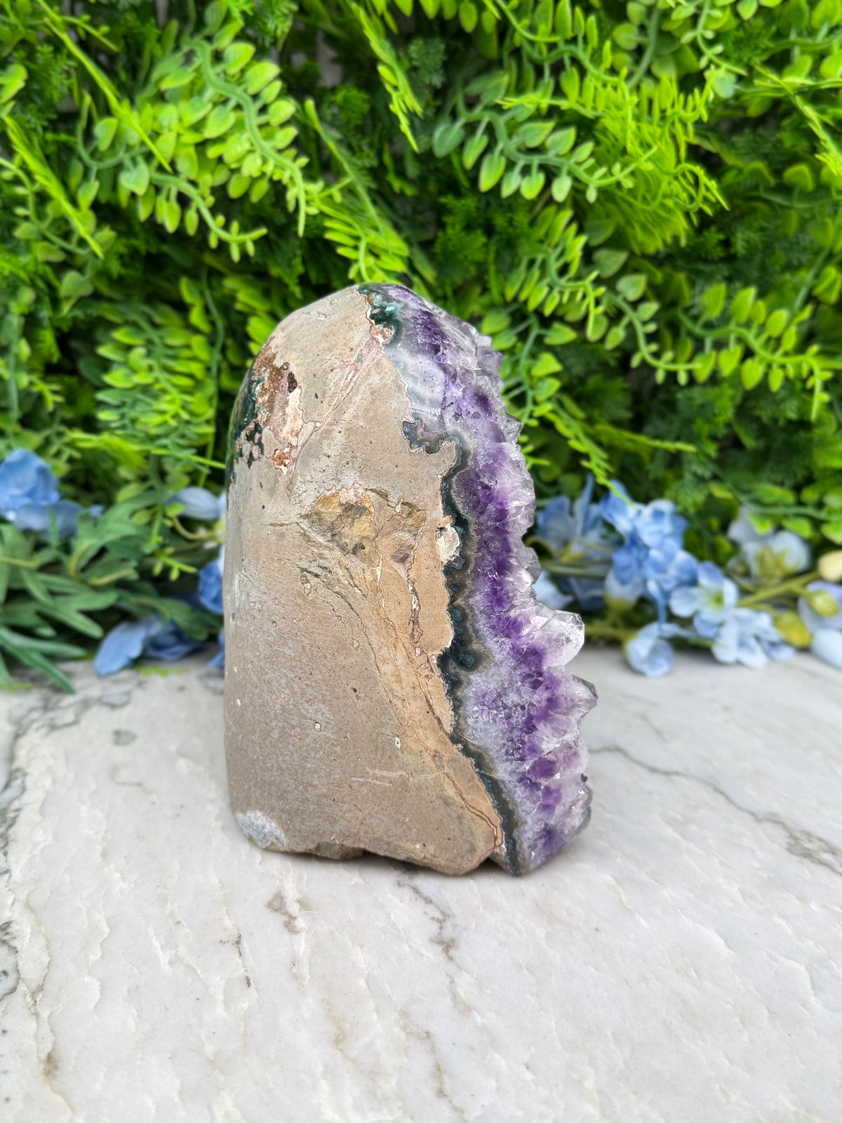 Amethist (Uruguay) cluster XL cut base (1786 gr/14 cm)