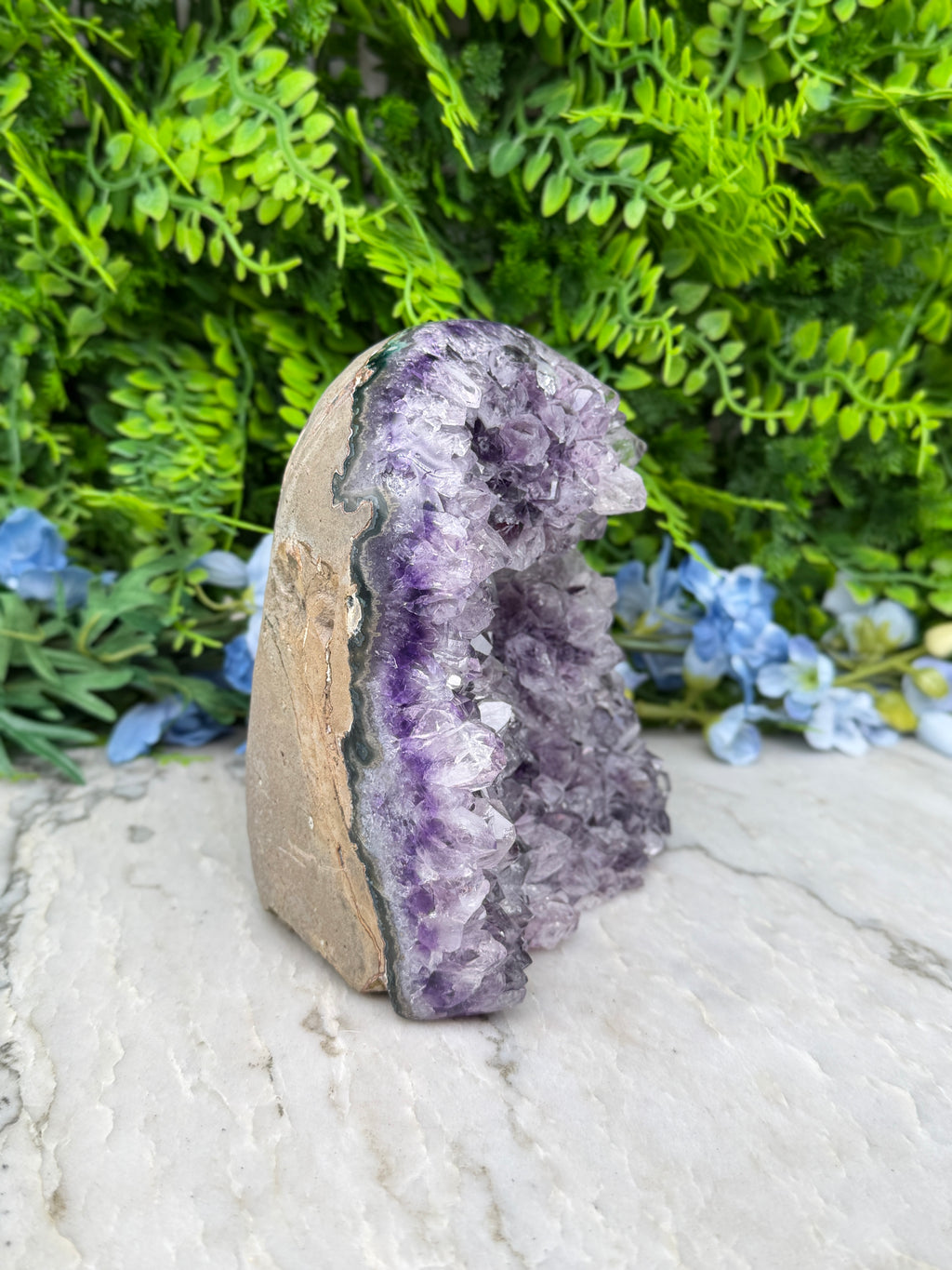 Amethist (Uruguay) cluster XL cut base (1786 gr/14 cm)