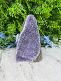 Amethyst (Uruguay) cluster, XL cut, base (1356 gr/16 cm)