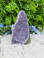 Amethyst (Uruguay) cluster, XL cut, base (1356 gr/16 cm)