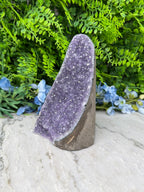Amethyst (Uruguay) cluster, XL cut, base (1356 gr/16 cm)