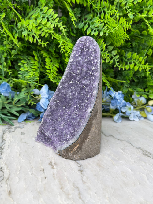 Amethyst (Uruguay) cluster, XL cut, base (1356 gr/16 cm)