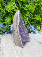 Amethyst (Uruguay) cluster, XL cut, base (1356 gr/16 cm)
