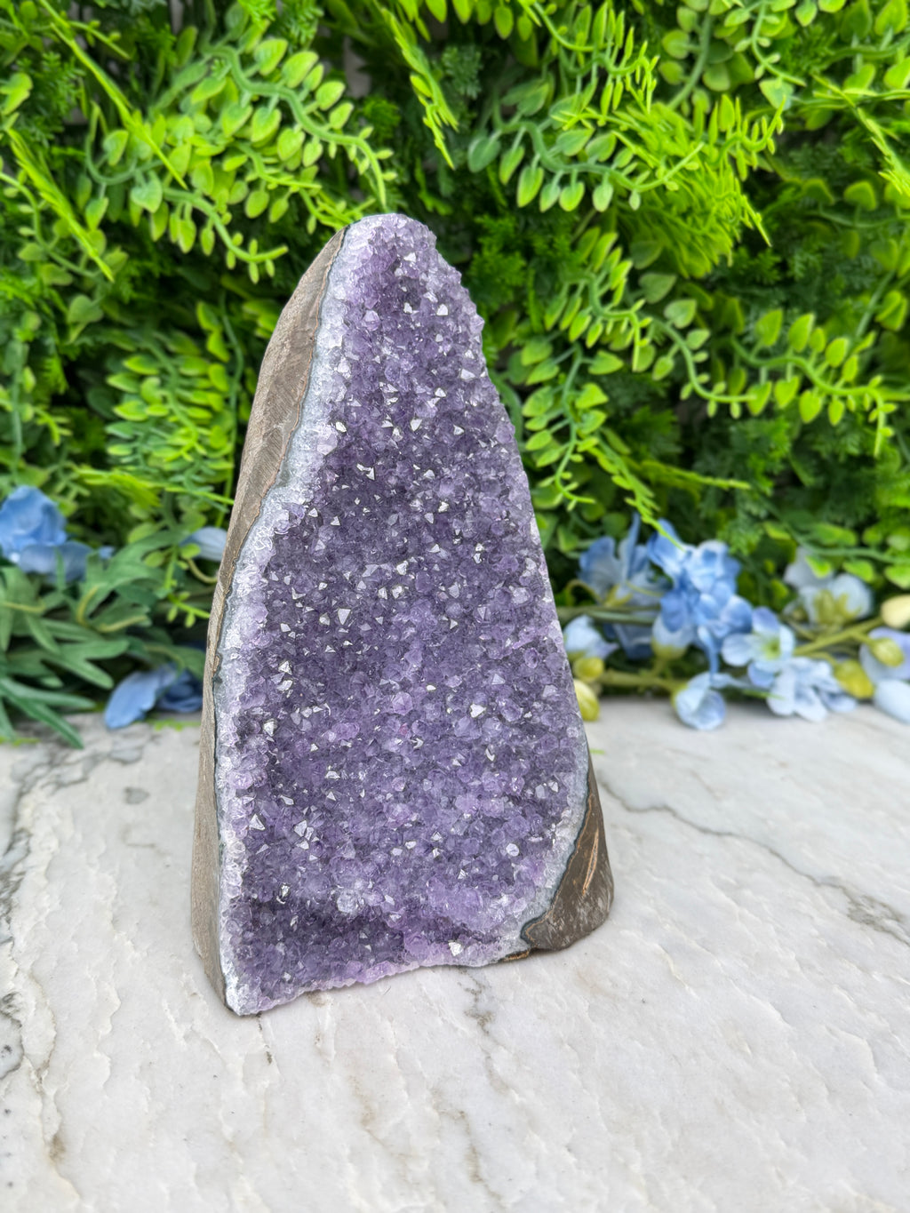 Amethyst (Uruguay) cluster, XL cut, base (1356 gr/16 cm)