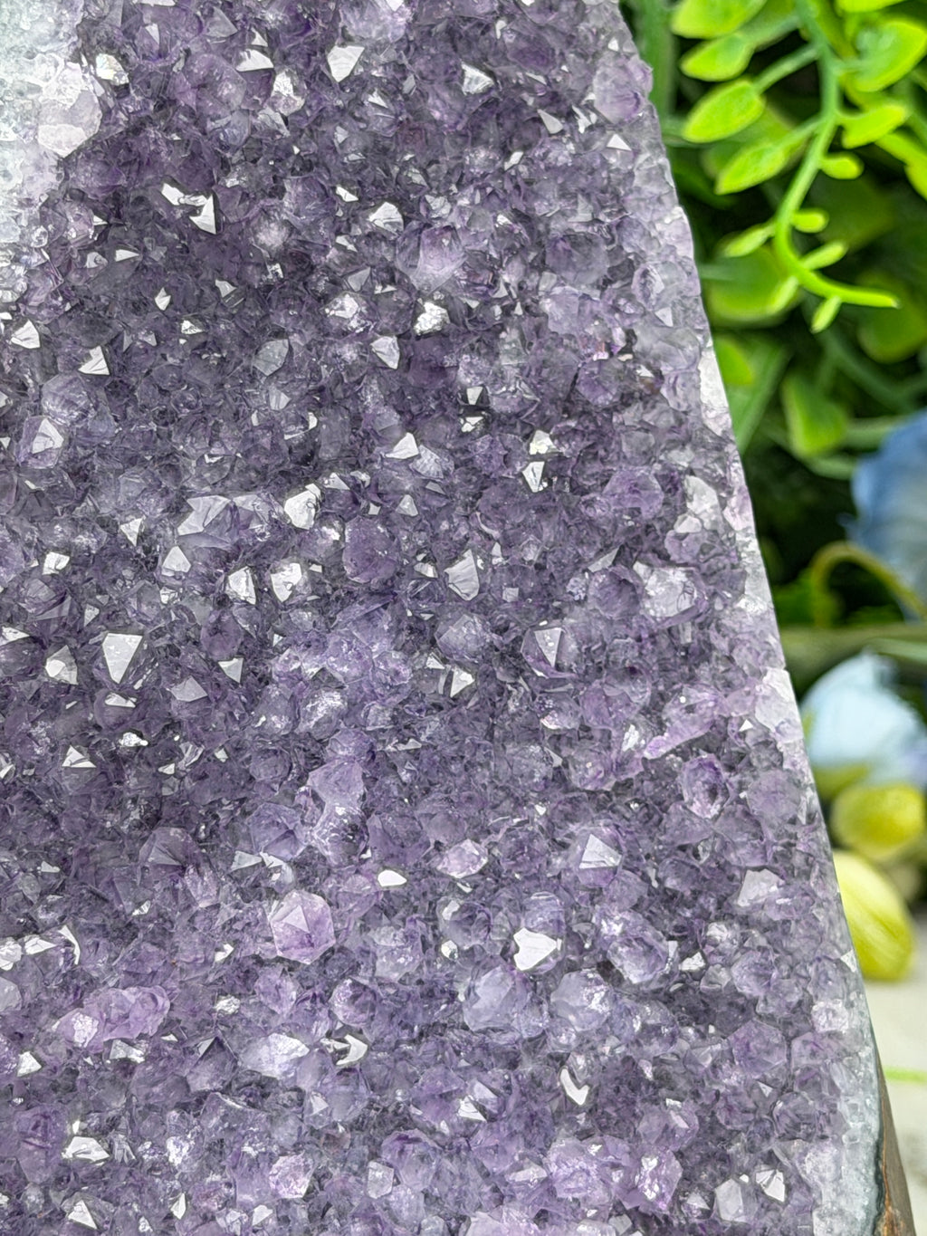 Amethyst (Uruguay) cluster, XL cut, base (1356 gr/16 cm)