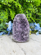 Amethyst (Uruguay) cluster-cut base (920 gr/12 cm)