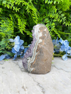 Amethyst (Uruguay) cluster-cut base (920 gr/12 cm)