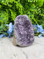 Amethyst (Uruguay) cluster-cut base (920 gr/12 cm)
