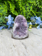 Amethist (Uruguay) cluster cut base (402 gr/9 cm)