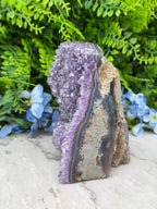 Amethyst (Uruguay) cluster-cut base (1172 gr/15 cm)