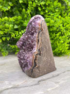 Amethist cluster cut base