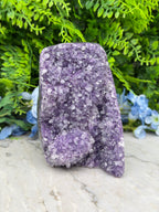 Amethyst (Uruguay) cluster-cut base (1172 gr/15 cm)