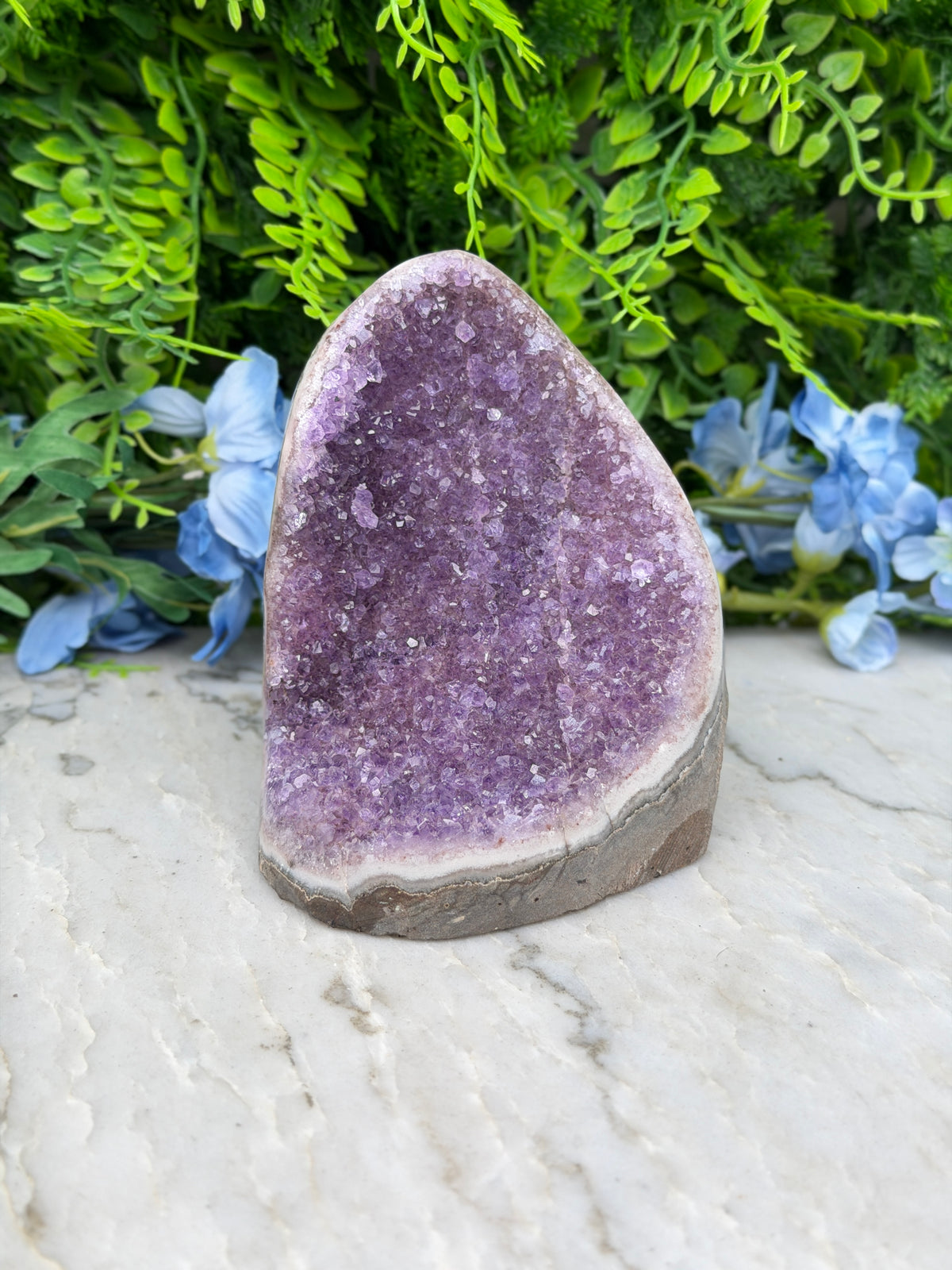Amethist (Uruguay) cluster cut base (736 gr/11 cm)