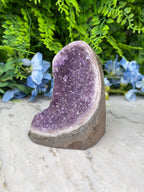 Amethist (Uruguay) cluster cut base (736 gr/11 cm)