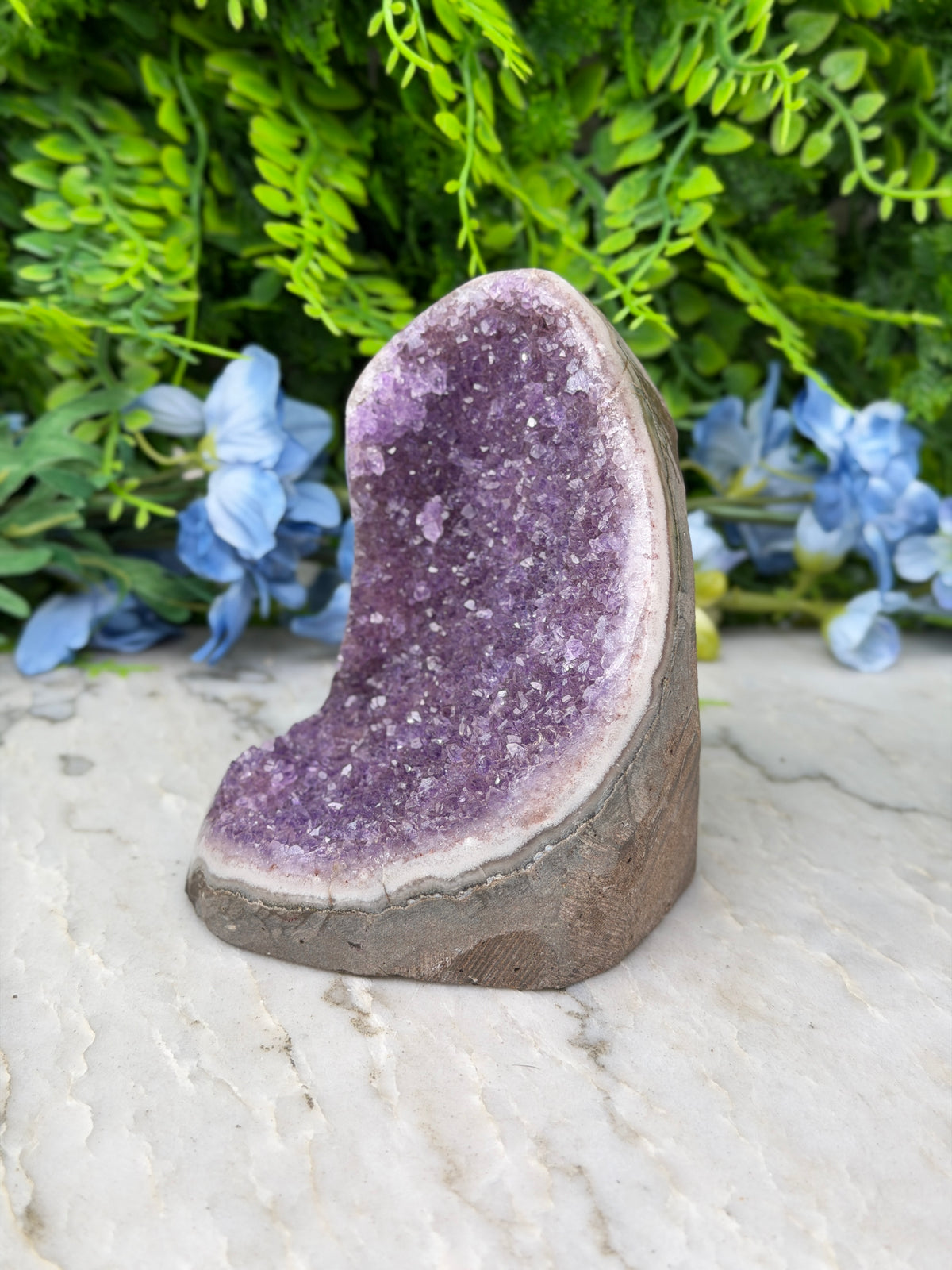 Amethist (Uruguay) cluster cut base (736 gr/11 cm)