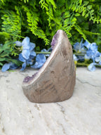 Amethist (Uruguay) cluster cut base (736 gr/11 cm)