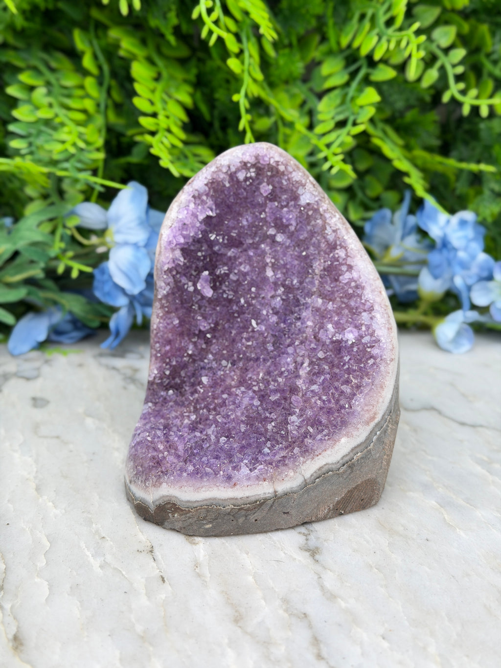 Amethist (Uruguay) cluster cut base (736 gr/11 cm)