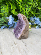 Amethist (Uruguay) cluster cut base (516 gr/10 cm)