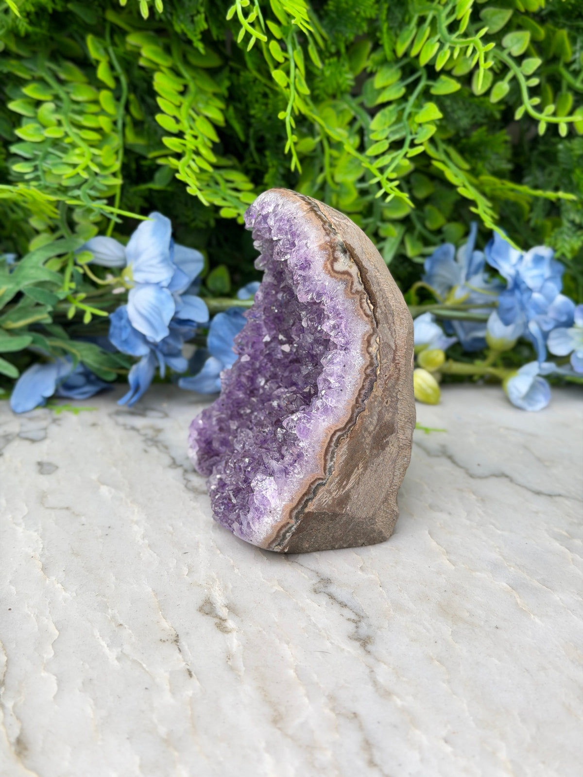 Amethist (Uruguay) cluster cut base (516 gr/10 cm)