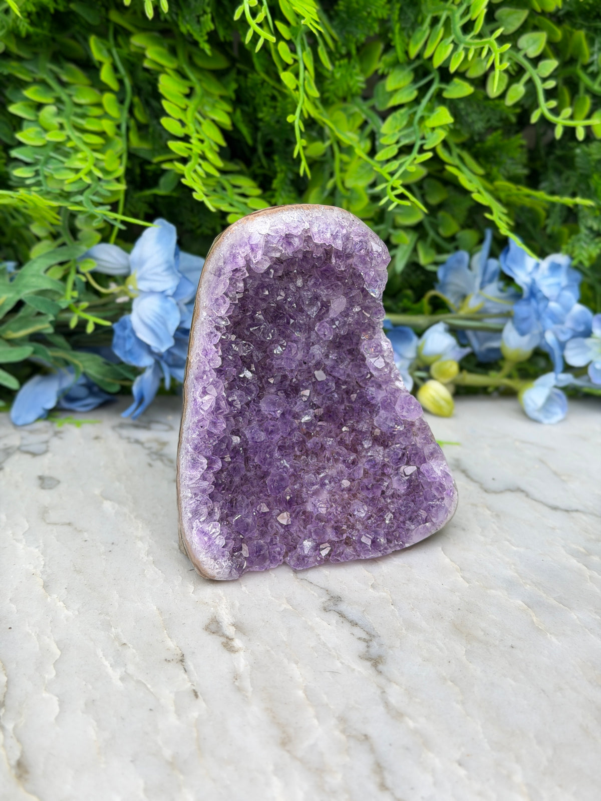 Amethist (Uruguay) cluster cut base (516 gr/10 cm)